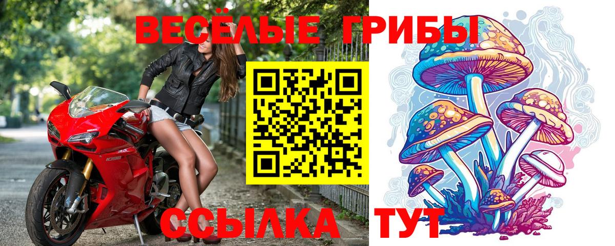 Шахты  цены   Галлюциногенные грибы прущие грибы  Вход с VPN  Галлюциногенные грибы мицелий 